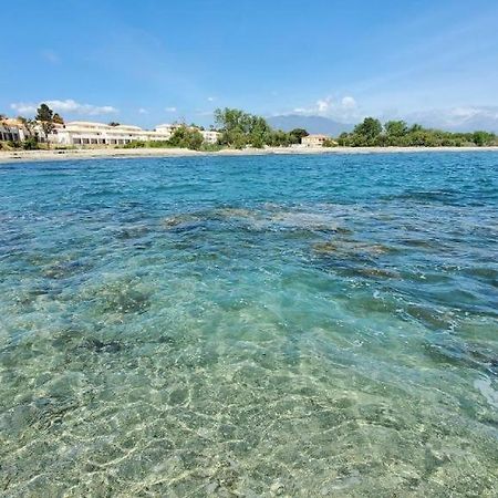 Marine De Bravone T2 Terrasse Front De Mer - Plage Pieds Dans L'Eau - Clim - Piscine - Wifi Linguizzetta 外观 照片