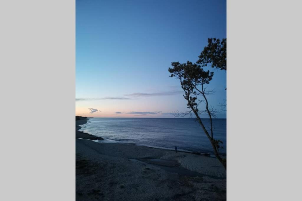 Marine De Bravone T2 Terrasse Front De Mer - Plage Pieds Dans L'Eau - Clim - Piscine - Wifi Linguizzetta 外观 照片