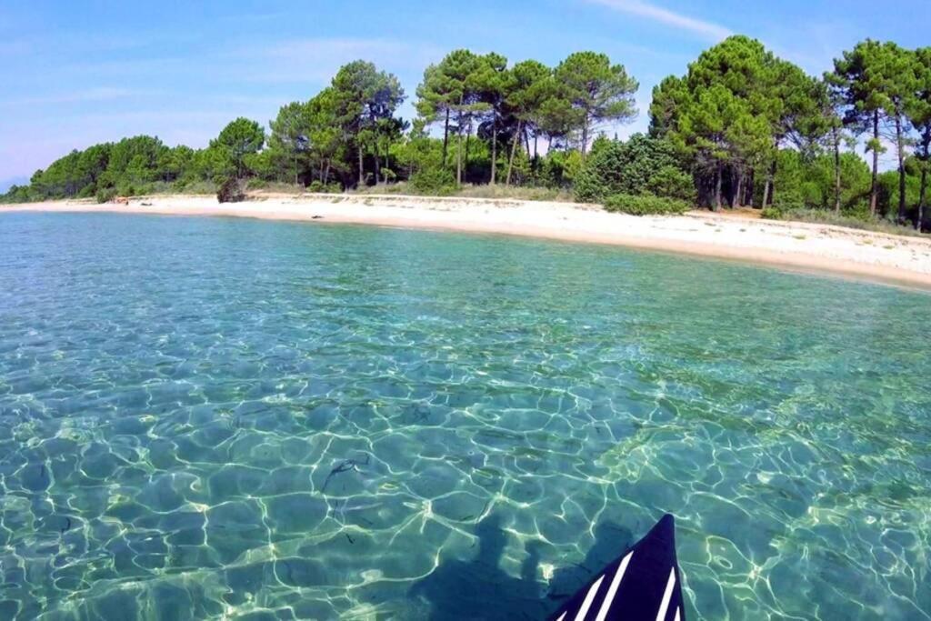 Marine De Bravone T2 Terrasse Front De Mer - Plage Pieds Dans L'Eau - Clim - Piscine - Wifi Linguizzetta 外观 照片