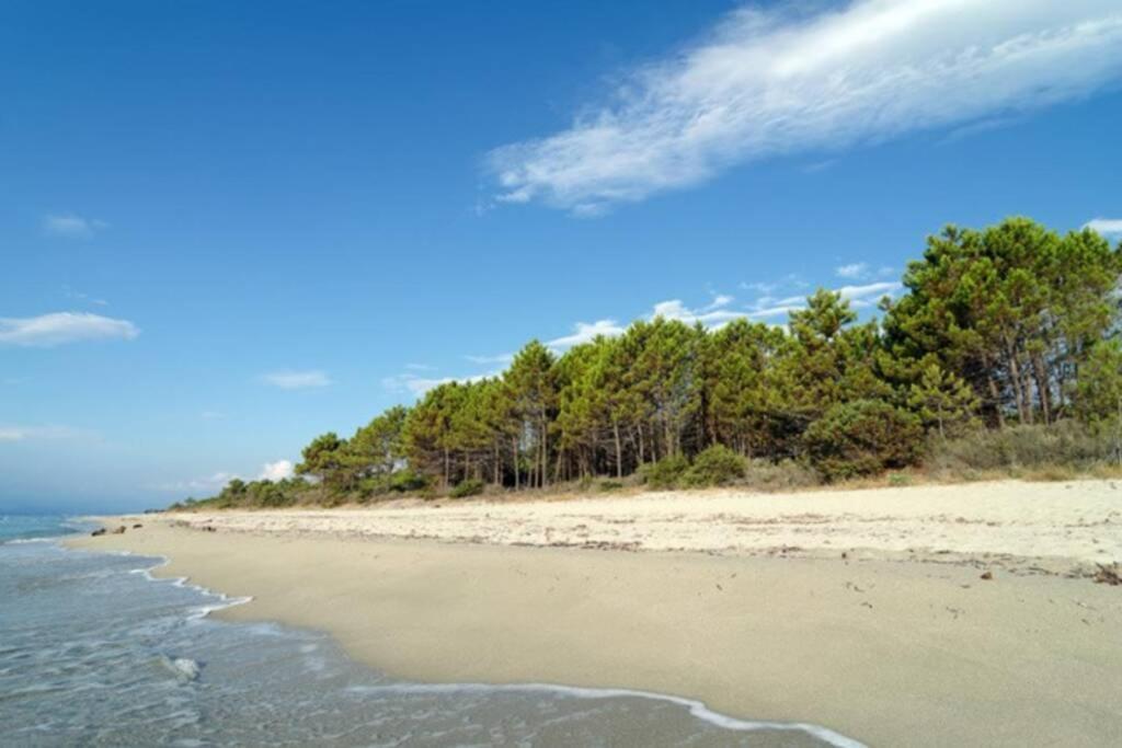 Marine De Bravone T2 Terrasse Front De Mer - Plage Pieds Dans L'Eau - Clim - Piscine - Wifi Linguizzetta 外观 照片