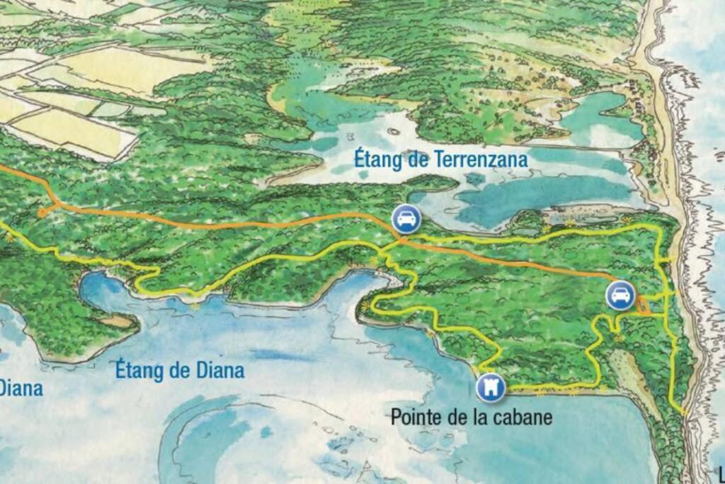 Marine De Bravone T2 Terrasse Front De Mer - Plage Pieds Dans L'Eau - Clim - Piscine - Wifi Linguizzetta 外观 照片