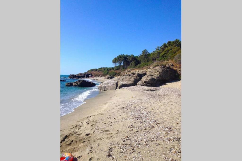 Marine De Bravone T2 Terrasse Front De Mer - Plage Pieds Dans L'Eau - Clim - Piscine - Wifi Linguizzetta 外观 照片