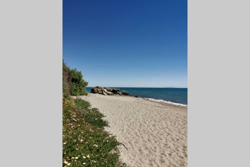 Marine De Bravone T2 Terrasse Front De Mer - Plage Pieds Dans L'Eau - Clim - Piscine - Wifi Linguizzetta 外观 照片