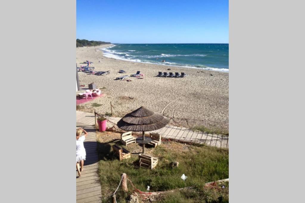 Marine De Bravone T2 Terrasse Front De Mer - Plage Pieds Dans L'Eau - Clim - Piscine - Wifi Linguizzetta 外观 照片