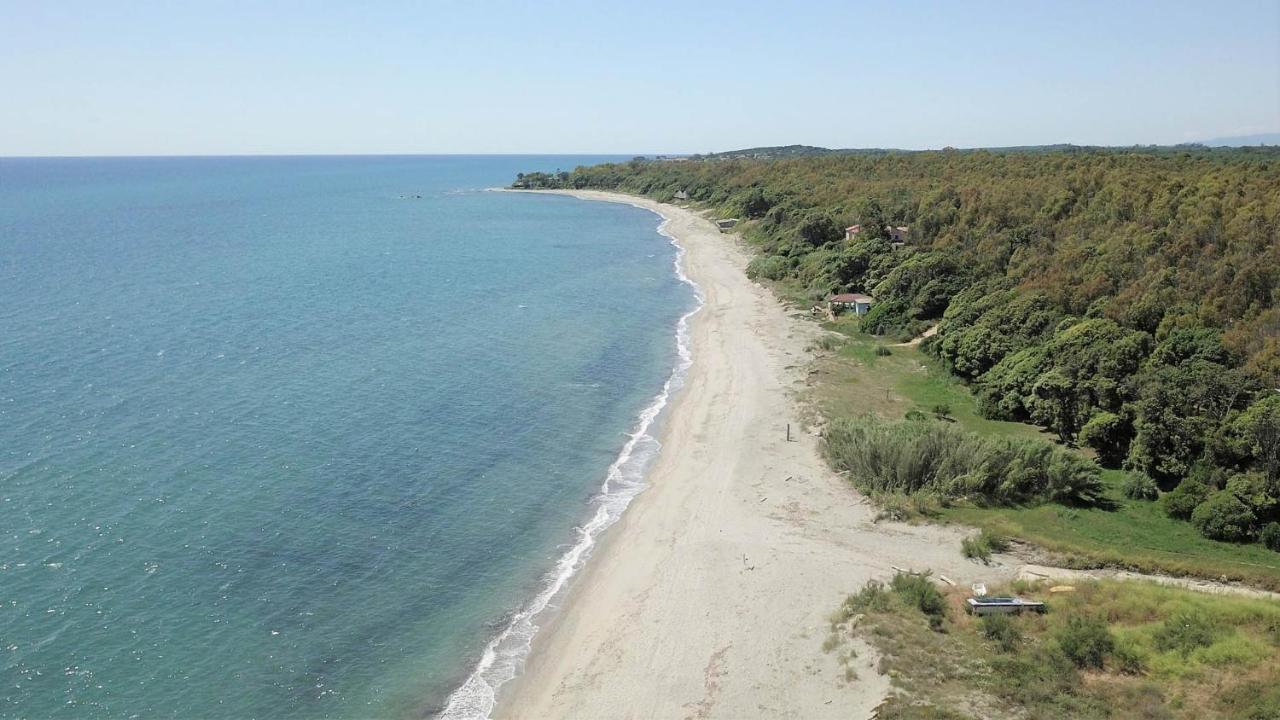 Marine De Bravone T2 Terrasse Front De Mer - Plage Pieds Dans L'Eau - Clim - Piscine - Wifi Linguizzetta 外观 照片