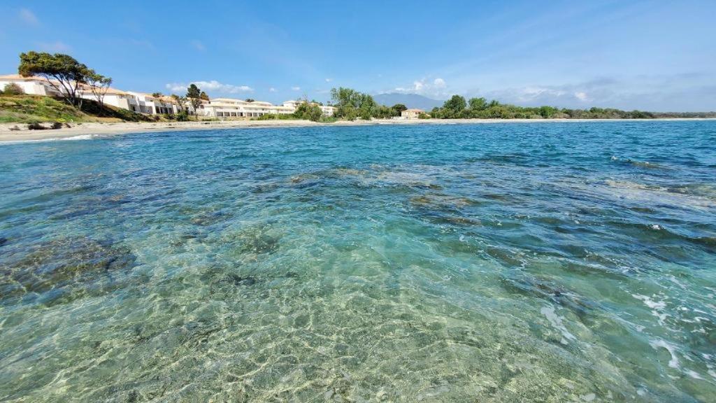 Marine De Bravone T2 Terrasse Front De Mer - Plage Pieds Dans L'Eau - Clim - Piscine - Wifi Linguizzetta 外观 照片
